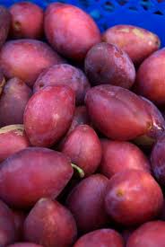 Attēlu rezultāti vaicājumam “Prunus domestica subsp. insitita fruit”