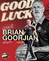 Image result for Bay Dragons CC