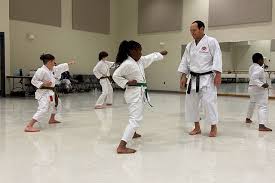 Image result for Ifield Shotokan Karate Club