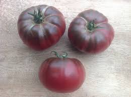 Afbeeldingsresultaat voor dark purple beefsteak tomato