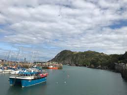 Image result for Ilfracombe Orcas Octopush Club