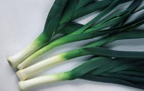 Image result for Porree