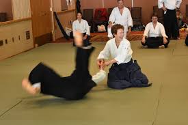 Image result for Bracknell Aikido Club