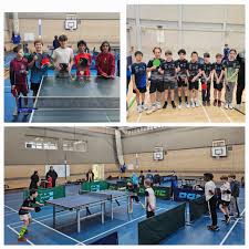 Image result for Dml Woolwell Table Tennis Club
