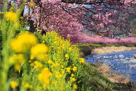 Image result for 2007早春