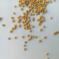 Attēlu rezultāti vaicājumam “Sinapis alba fruit”