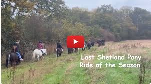 Image result for Bookham Riding Club