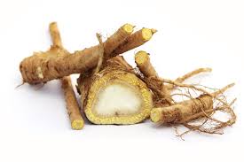 Attēlu rezultāti vaicājumam “Angelica archangelica fruit”