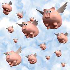 Image result for flying pigs