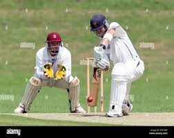 Image result for Alberbury Cricket Club