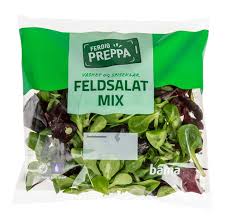 Image result for Feldsalat