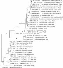 Image result for pfanzelt tehron