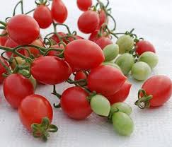 Afbeeldingsresultaat voor caspian pink tomato