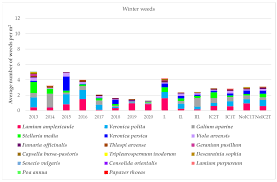 Attēlu rezultāti vaicājumam “Microrrhinum minus leaf”