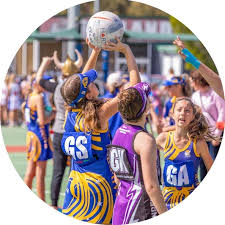 Image result for Newdigate Netball Club