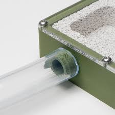 Image result for ytong ants