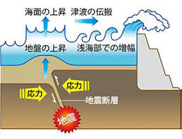 Image result for 高潮 津波 別物