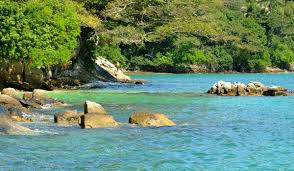 Image result for bombinhas