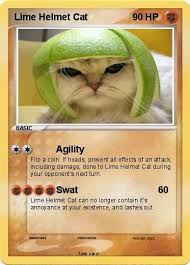 Image result for limecat