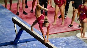 Image result for Tessaro Gymnastics Club