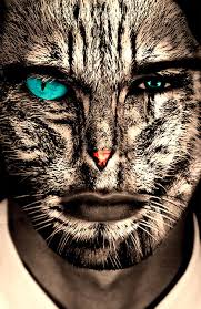 Image result for cat man