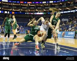 Image result for Nottingham Wildcats