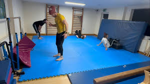 Image result for Capoeira Massive