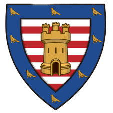 Image result for Tynemouth Hockey Club