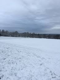 Image result for Warren Mead Fc