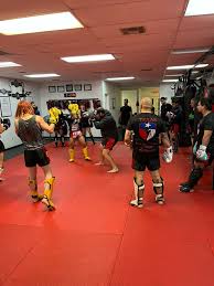 Image result for Vipers Thai/Kickboxing School
