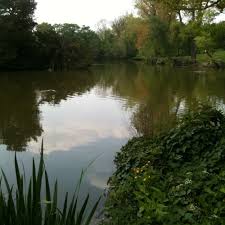 Image result for Trimpley Anglers Association