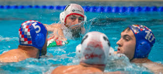 Image result for Cheltenham Swimming & Water Polo Club