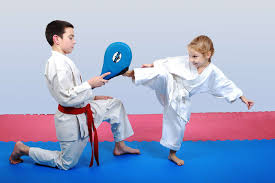 Image result for Taunton Karate Jutsu