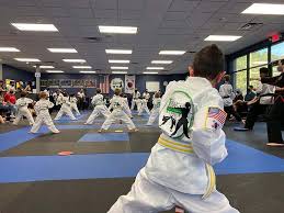 Image result for K5 Academy Of Martial Arts