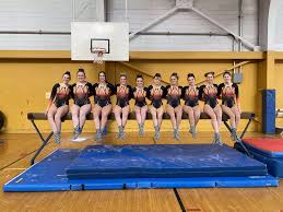 Image result for Bulmershe Gymnastics Club