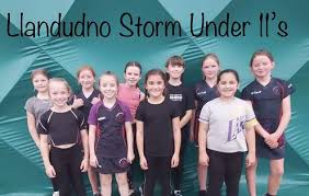 Image result for Storm Junior Netball Club
