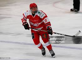 Image result for Swindon Panthers