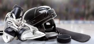 Image result for Demons Skater Hockey Club