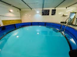 Image result for Dive Solutions, London