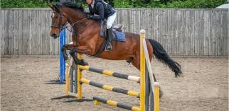 Image result for Cambridge University Modern Pentathlon Club