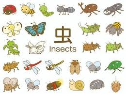 「憚木蝶左」の画像検索結果