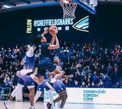 Image result for Sheffield Hatters Basketball Club