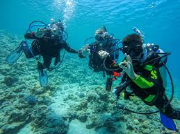 Image result for Leicester Underwater Exploration Club