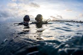 Image result for Surrey Aquanauts B S A C 0689