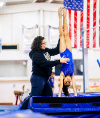 Image result for Ingleby Gymnastics Club