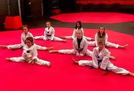 Image result for New Milton Taekwondo Club