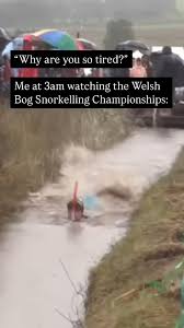 Image result for Bog Snorkelling Championships