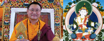 Image result for dordzse