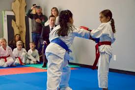 Image result for Levern Tora-Kai Karate Club