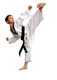 Image result for Chichester Tae Kwon Do